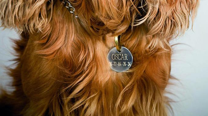 xaraxi-pet-tags-g Gravographellas-Χάραξη σε pet tags